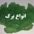 برگ مات خارجی 50 گرمی