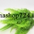 بوته علفی