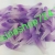 مارگاریت مات دورنگ خارجی 50 گرمی