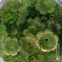 کاسبرگ شیشه ای